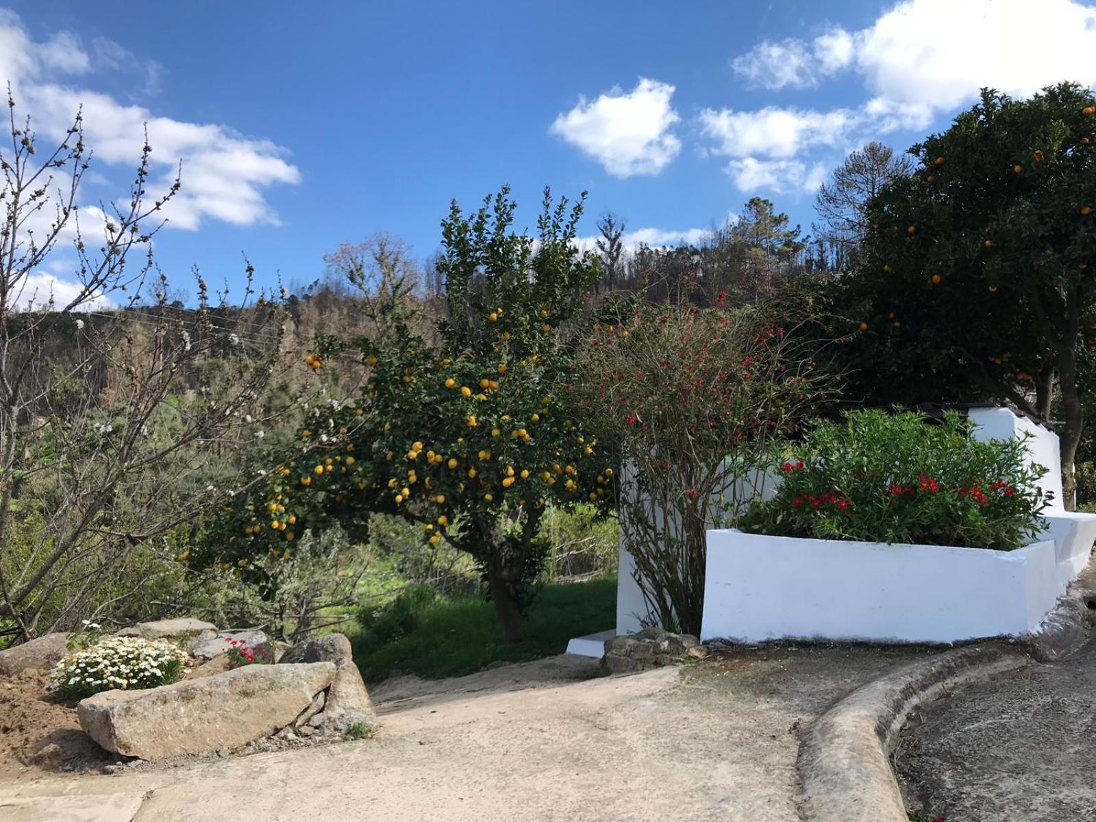 Casa vacanze Casas Bemposta Monchique