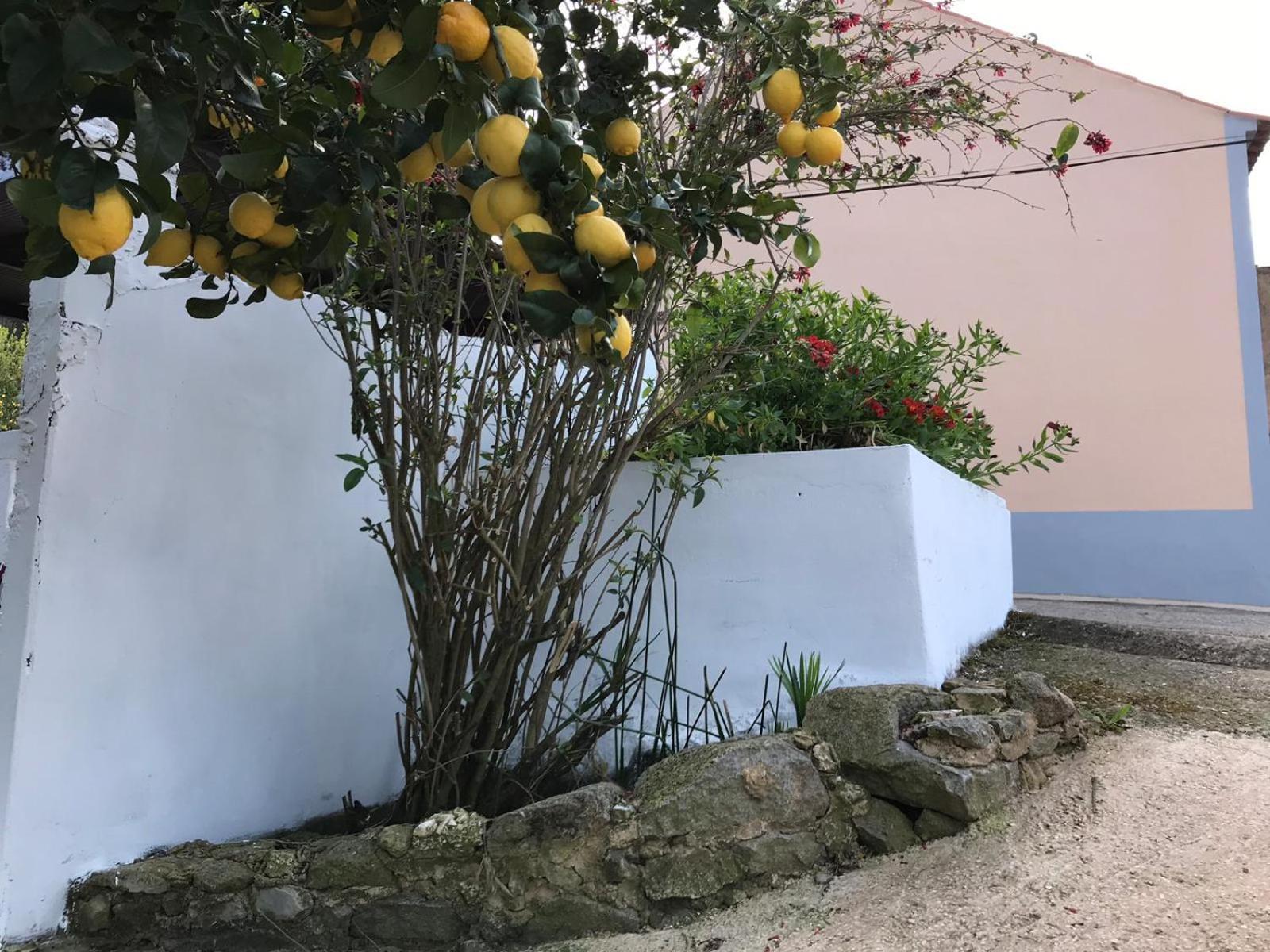 Casa vacanze Casas Bemposta Monchique