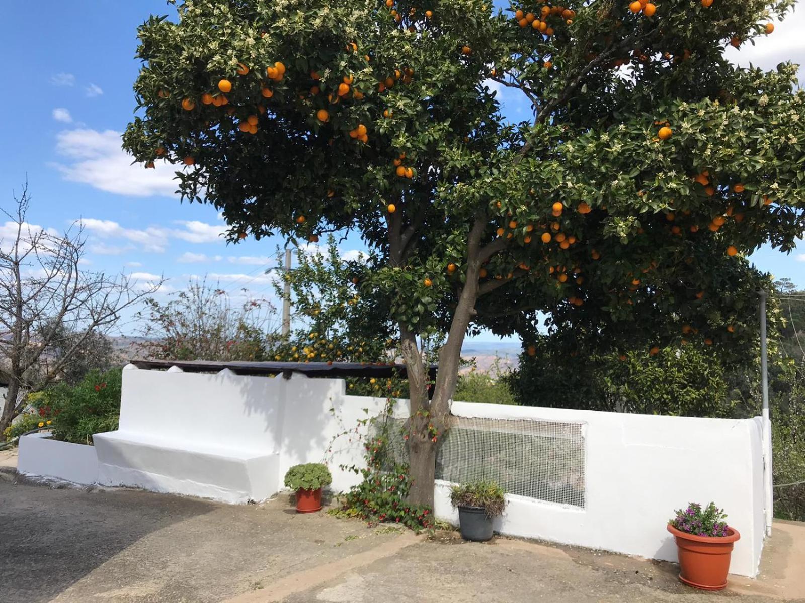 Casa vacanze Casas Bemposta Monchique