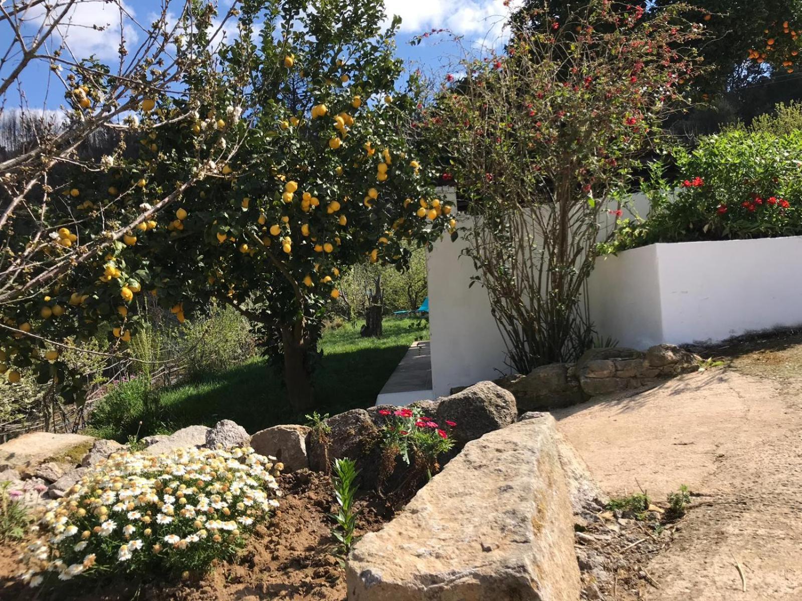 Casas Bemposta Monchique