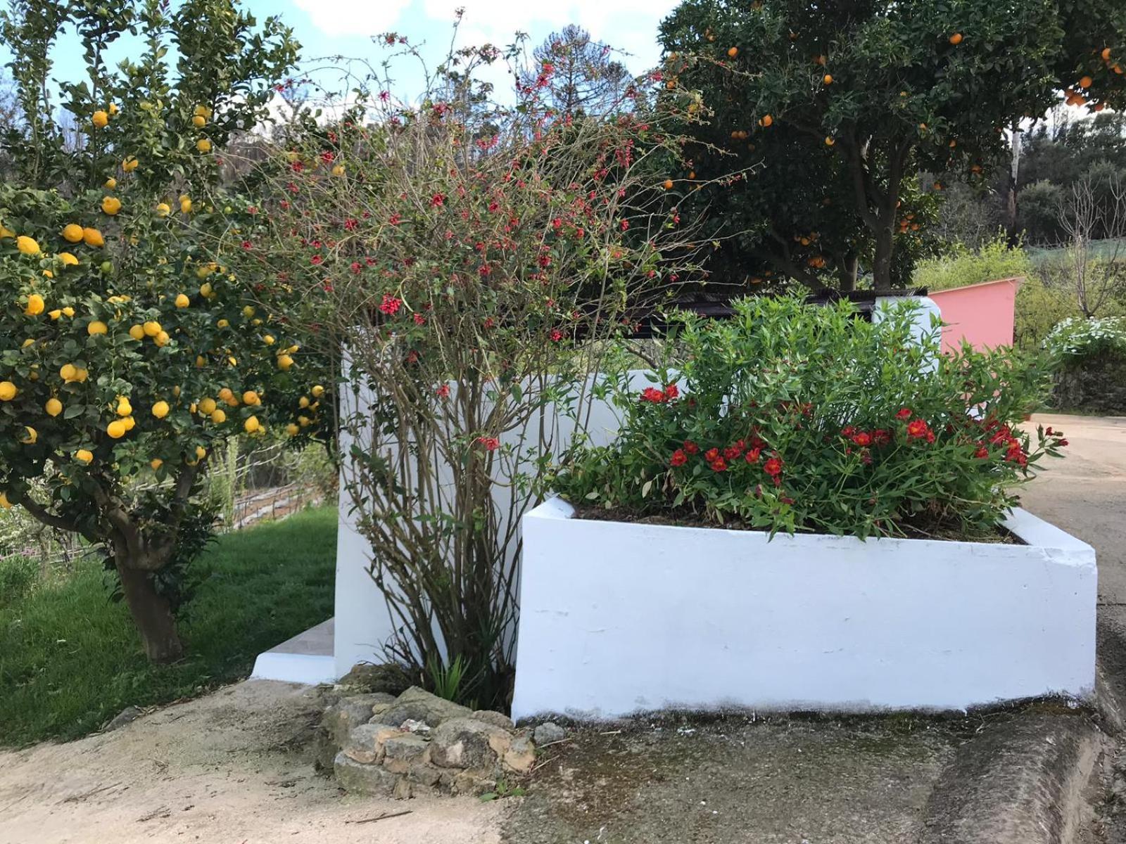 Casas Bemposta Monchique
